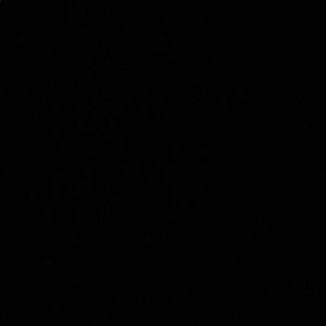 Meet your Posher, Becca